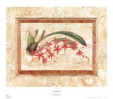 Buy Ceylon Orchid I at AllPosters.com