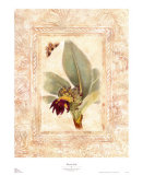 Buy Banana Leaf at AllPosters.com