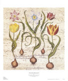 Buy Travertine Botanicals I at AllPosters.com