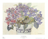 Buy Lace Cap Hydrangeas at AllPosters.com