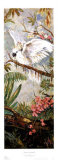 Parrots in Paradise II