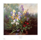 Buy Landscape with Irises at AllPosters.com