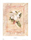 Magnolia I