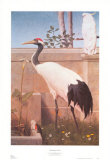 Manchurian Crane, Cockatoo and Robin