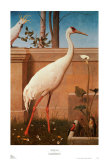 Indian Crane, Cockatoo, Bullfinch and Thrush