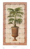 Mediterranean Palms II