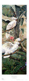 Parrots in Paradise I