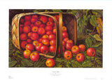 Buy Country Apples at AllPosters.com