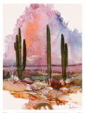 Desert Patterns