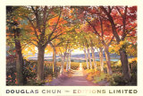 Autumn Path