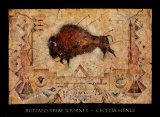 Buffalo Tribe Journey