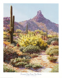 Buy Pinnacle Peak from the North at AllPosters.com