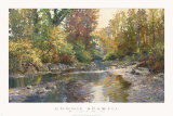 Peaceful Shoals