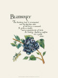 Blueberry