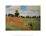 Wild Poppies
