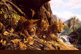 Leopard Sentry