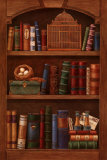 Literature II Art Print