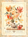 Buy Lily at AllPosters.com