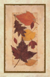 Buy Autumn Harvest I at AllPosters.com