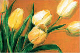 Buy Tulipa Nova at AllPosters.com