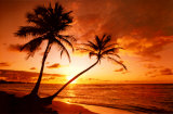 Tropical Beach, Sunset