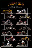 Motorcycle, Harley Davidson