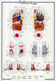 Buy Reflexology at AllPosters.com