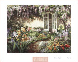 Wisteria
