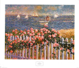 Buy Hyannis Port Roses at AllPosters.com