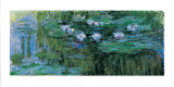 Buy Waterlilies at AllPosters.com