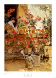 Geraniums Art Print