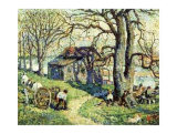 Buy Old Tulip Tree Long Island at AllPosters.com