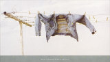 Buy Cool Breeze at AllPosters.com