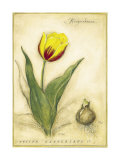 Keizerskroon Tulip Art Print