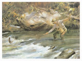 Trout Stream