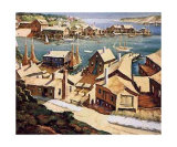 Peaceful Harbor
