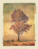 Autumn Tree Study I