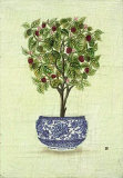 Buy Red Berry Topiary at AllPosters.com