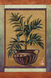 Buy Palm at AllPosters.com