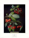 Buy Cherries I at AllPosters.com