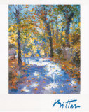 Lumiere d'automne