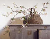 Apple Blossoms