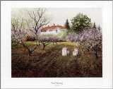 Buy Honey Bees at AllPosters.com