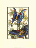 Butterfly V