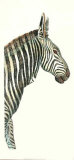 Buy Elongated Zebra at AllPosters.com