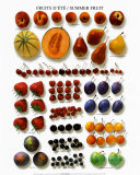 Summer Fruits