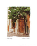 Elegant Entry