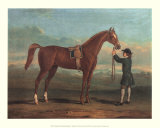 Racehorse Shakespeare