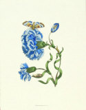 Garden Treasures IX