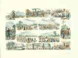 Scenes on a Cotton Plantation